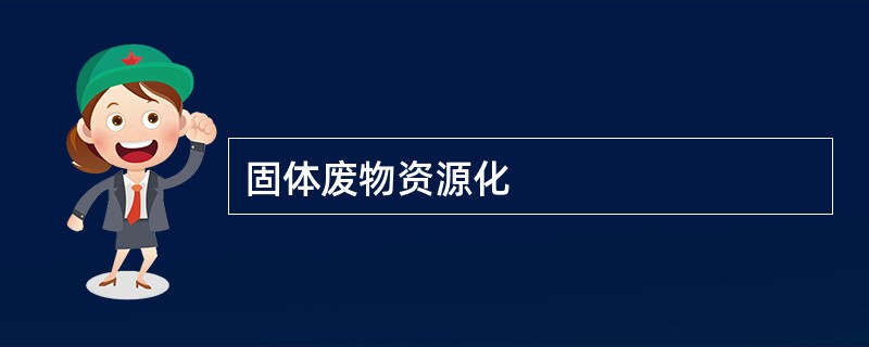 固体废物的资源化与治理 迈向循环经济的可持续之路